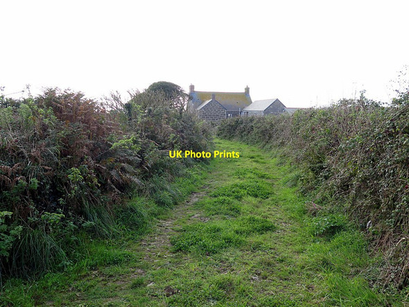 Photo 6"x4" Lane near Raftra Farm Polgigga c2016
