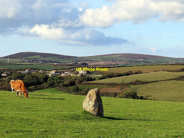 Photo 6"x4" Cattle rubbing stone near Treen Treen\/SW3923 c2016