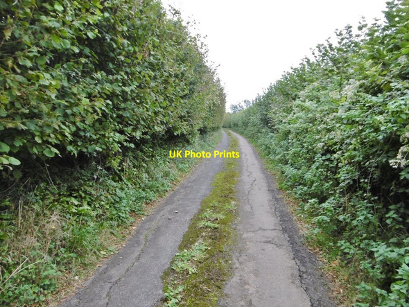 Photo 6"x4" Powerstock, Ruscombe Lane Powerstock c2016