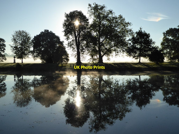 Photo 6"x4" Trees, mist and sun, Croome Park High Green\/SO8745 c2016