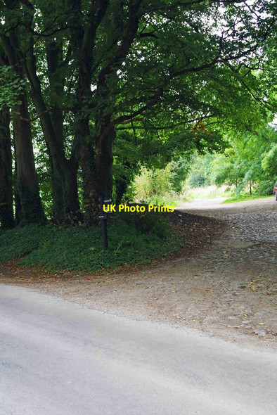 Photo 6"x4" The Ridgeway, Foxhill, Wilts Bishopstone\/SU2483 c2016