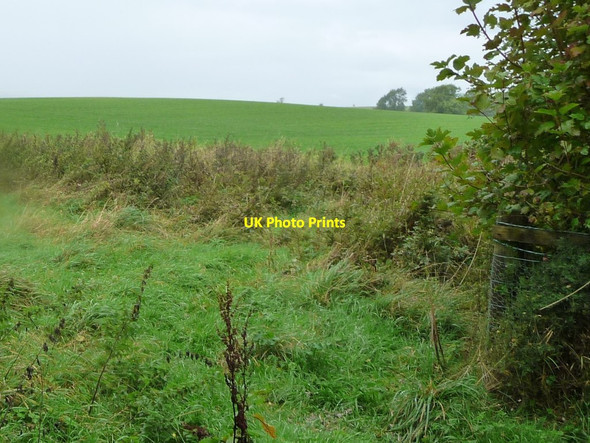 Photo 6"x4" Farmland west of Bandley Bridge Appleby-in-Westmorland c2016