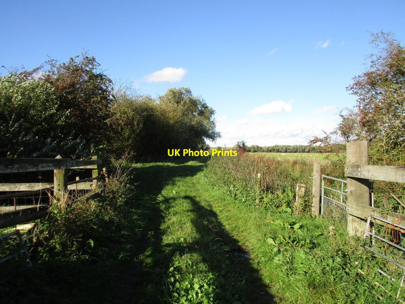 Photo 6"x4" Lane on Lea Marsh Lea\/SK8286 c2016