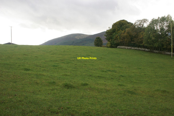 Photo 6"x4" Field beside Sheep Burn Bridge New Abbey c2016