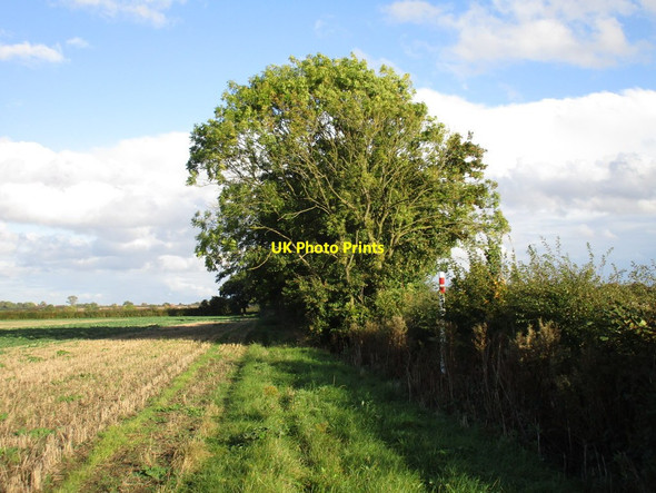 Photo 6"x4" Footpath to Kexby Upton\/SK8686 c2016