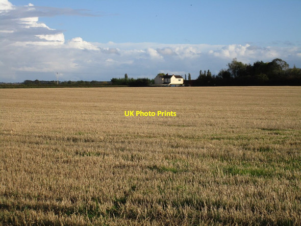 Photo 6"x4" Stubble field and Primrose Cottage Kexby\/SK8785 c2016