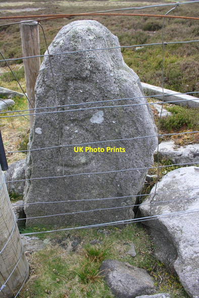 Photo 6"x4" Boundary stone on moor at fence junction above Whirly Gill Nappa Scar c2016