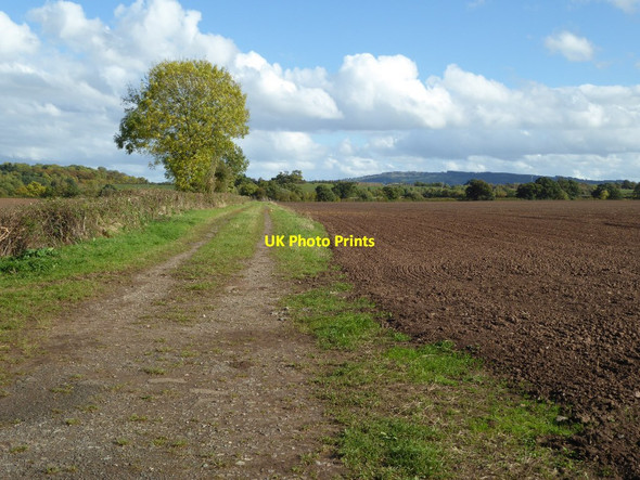 Photo 6"x4" Footpath and farm track Baughton c2016