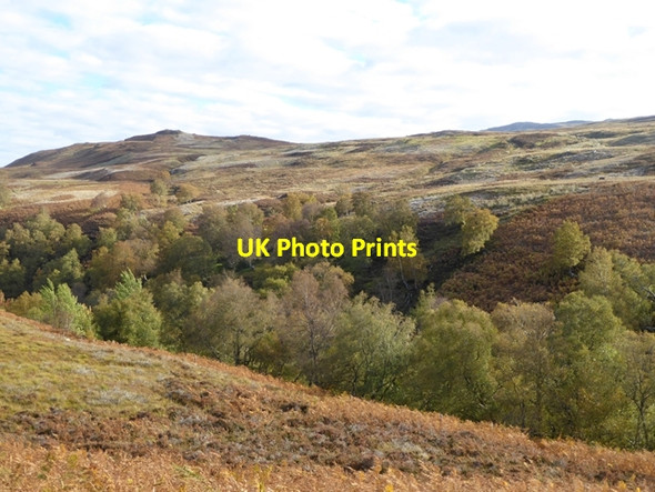 Photo 6"x4" Glen Doe Glen Doe c2016