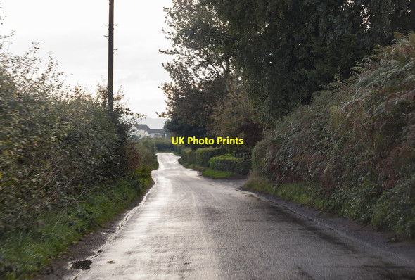 Photo 6"x4" Newent Road, near Compton Green Brand Green\/SO7428 c2016