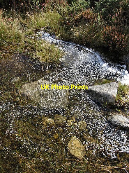 Photo 6"x4" Foam Pattern Rathnure c2016