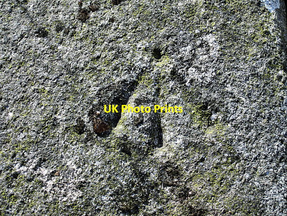 Photo 6"x4" Trig Benchmark Ballymurphy c2016