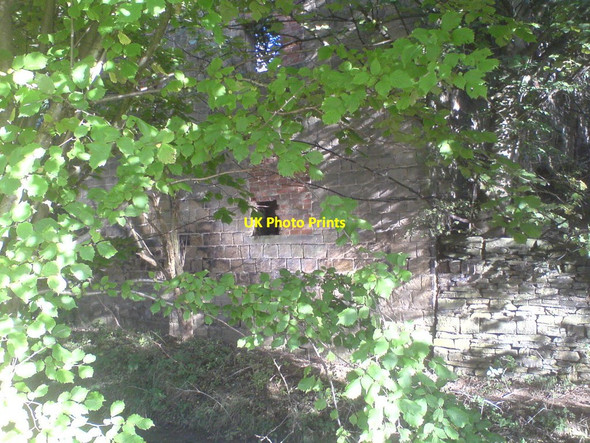 Photo 6"x4" Ruins of Upper Mill on Pudsey Beck Pudsey\/SE2233 c2016