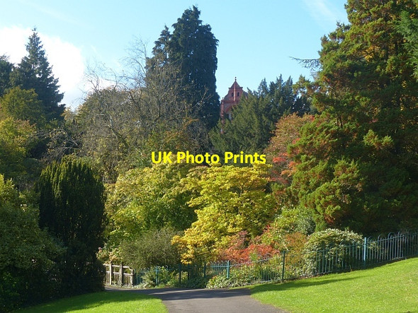 Photo 6"x4" Autumn colours, Belle Vue Park, Newport Newport\/Casnewydd c2016