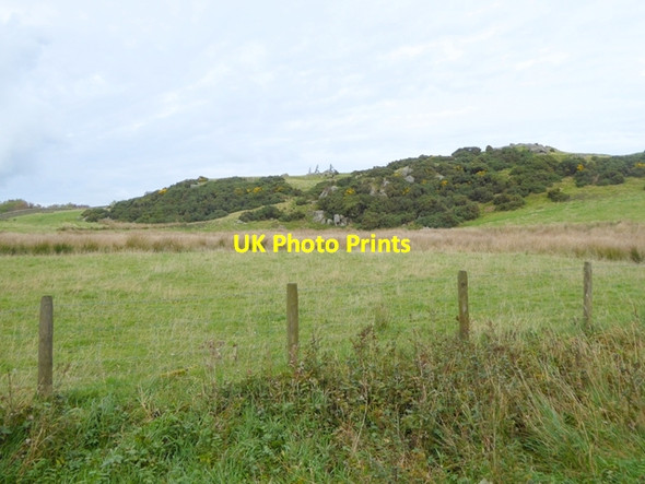 Photo 6"x4" Norman Crag Heggle Lane c2016