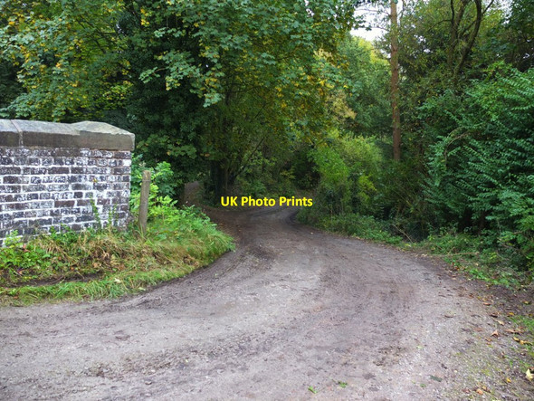 Photo 6"x4" Hole House Lane near Daleford House Barnton\/SJ6375 c2016