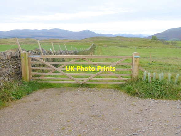 Photo 6"x4" Eycott Hill Nature Reserve Berrier c2016