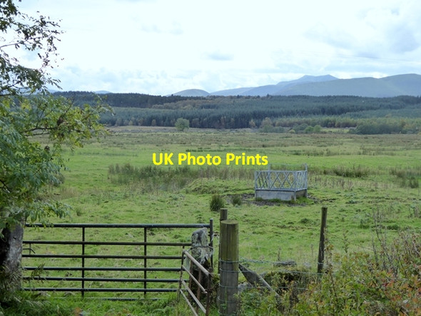 Photo 6"x4" Field near Newsham Lamonby c2016