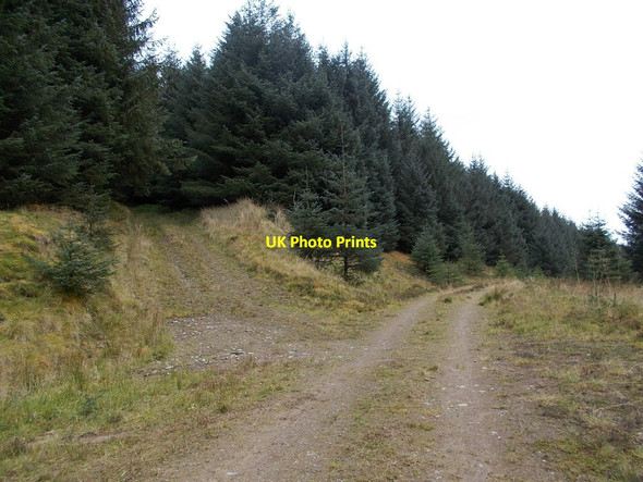 Photo 6"x4" Path junction, Onweather Hill Cor Water c2016