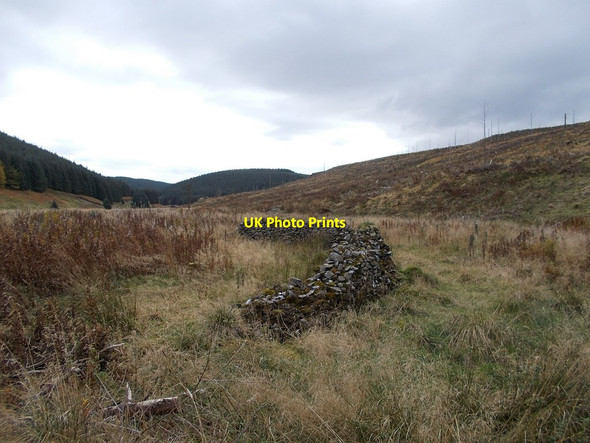 Photo 6"x4" Ruined sheepfold near Tweedhopefoot Glenbreck c2016