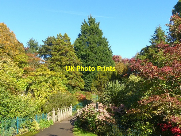 Photo 6"x4" Autumn colours, Belle Vue Park, Newport Newport\/Casnewydd c2016