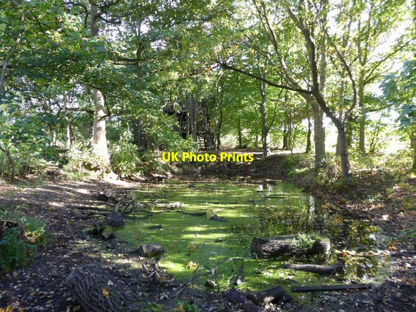Photo 6"x4" Pond in the grounds of Moseley Old Hall Bushbury\/SJ9203 c2016