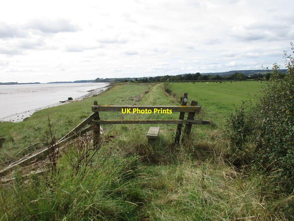 Photo 6"x4" Footpath along the river bank near Awre Awre c2016