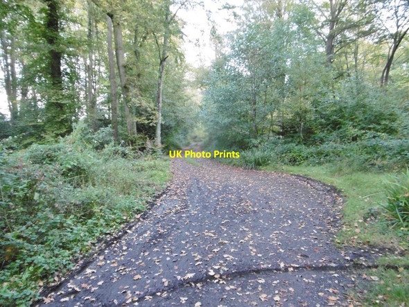 Photo 6"x4" Emery Down, track Emery Down c2016