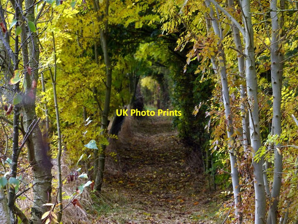 Photo 6"x4" Footpath running alongside the A46 Glenfield\/SK5405 c2016