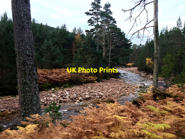 Photo 6"x4" The Water of Tanar Millfield\/NO4896 c2016