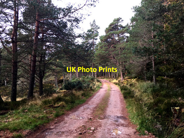 Photo 6"x4" The Glen Tanar track Inchmarnoch c2016