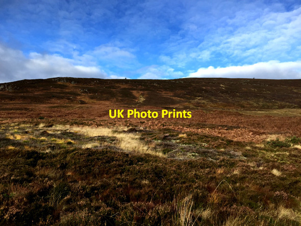 Photo 6"x4" Grouse moor in Glen Tanar Inchmarnoch c2016