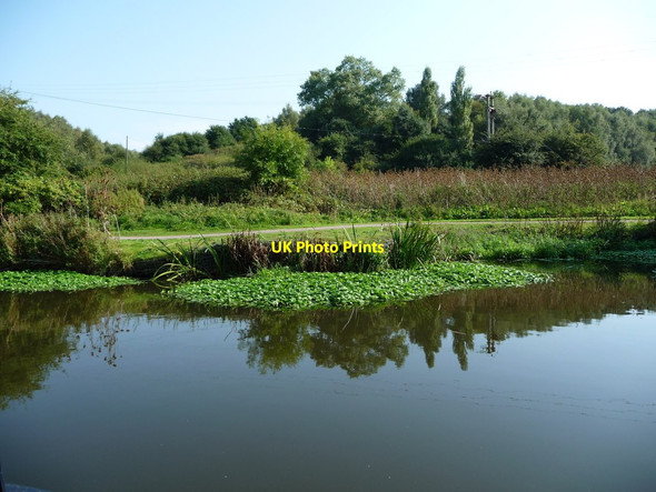 Photo 6"x4" Towpath, east bank, Weaver Navigation Winsford\/SJ6566 c2016