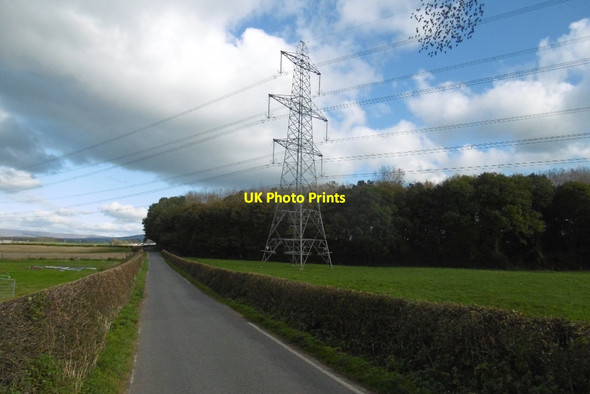 Photo 6"x4" Island Wood Winmarleigh Moss c2016