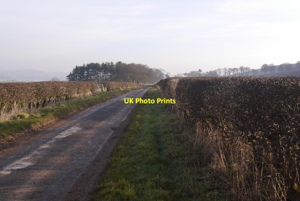 Photo 6"x4" Road above Lanton Newton\/NT6020 c2016