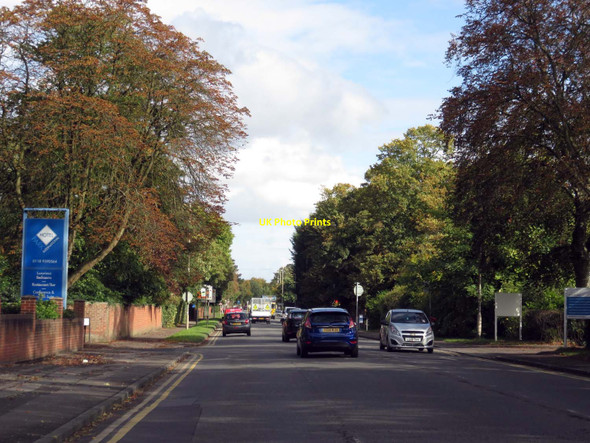 Photo 6"x4" Bath Road in Reading Reading c2016 P2