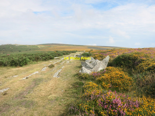 Photo 6"x4" Haytor Granite Tramway Haytor Vale c2016