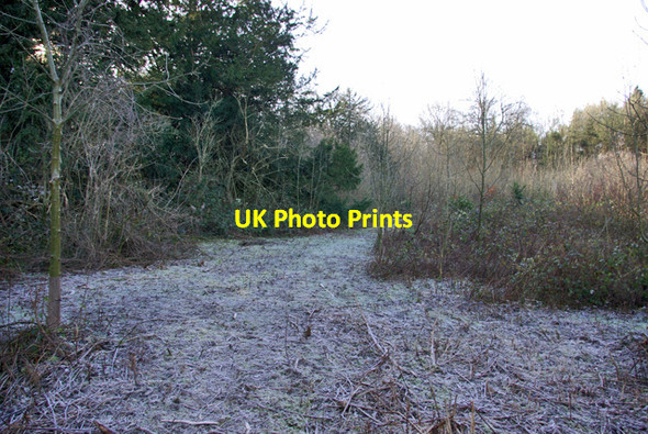 Photo 6"x4" Frost trap in Bushy Wood Luddesdown c2007