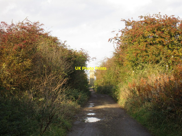 Photo 6"x4" Bridleway by the New River Ancholme Horkstow c2016
