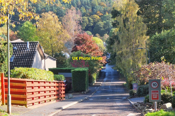Photo 6"x4" Wells Brae, Innerleithen Innerleithen c2016