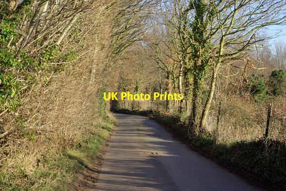 Photo 6"x4" Beech Road Herne Pound c2007