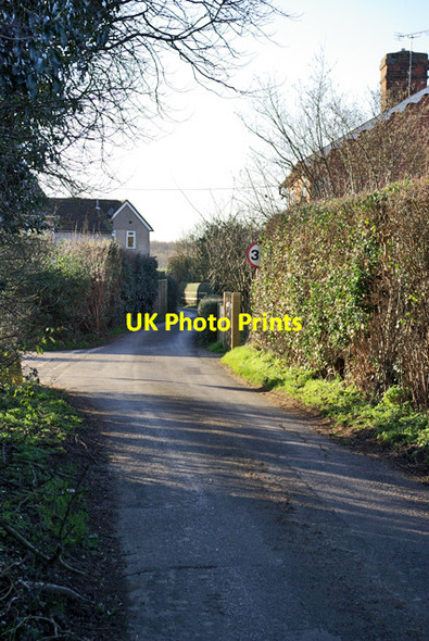 Photo 6"x4" Beech Road Herne Pound c2007 P1