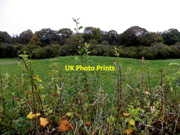 Photo 6"x4" Leganvy Townland Drumquin c2016