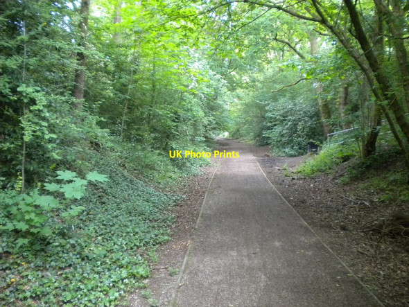 Photo 6"x4" Railway walk north of Windmill Lane bridge Castlecroft c2016
