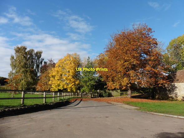Photo 6"x4" Autumn colour at Merriott Merriott\/ST4412 c2016