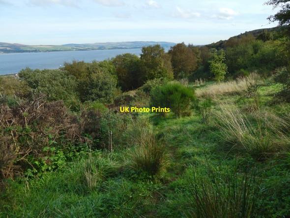 Photo 6"x4" Path on slopes of Knocknairs Hill Port Glasgow c2016