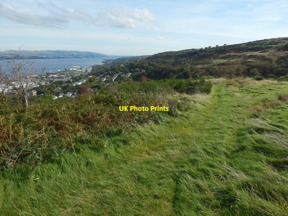 Photo 6"x4" Path on Knocknairs Hill Port Glasgow c2016