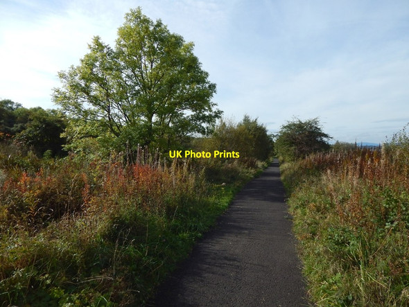 Photo 6"x4" Cycle path above Gibshill Port Glasgow c2016