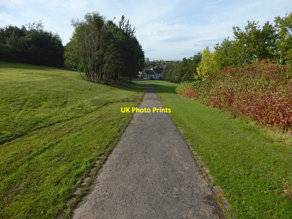 Photo 6"x4" Lady Octavia Park Greenock\/NS2776 c2016