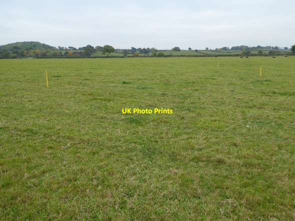 Photo 6"x4" Meadowland about to change Church End\/SO8341 c2016